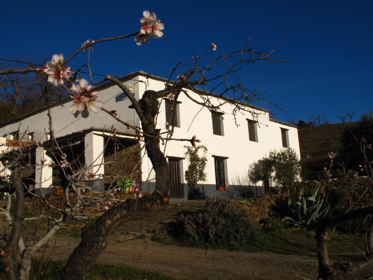 Casa Rural El Paraje De Berchules Villa Buitenkant foto